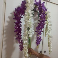 گلهای آبشاری بسیار زیبا