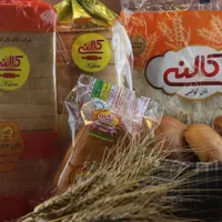 استخدام راننده با وانت مسقف(پخش گرم)|استخدام حمل و نقل|کرج, اصفهانی‌ها|دیوار