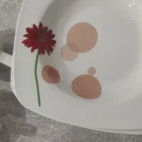 سرویس چینی در حد