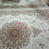 فرشا سالم|فرش|تربت‌حیدریه, رضاشهر|دیوار