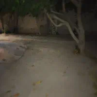 همخونه-بی-حاشیه-میپذیرم