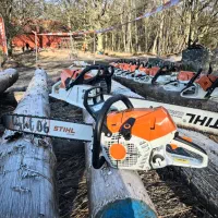 چوب ،هرس درخت ،خرید نقدی تصویه درمحل