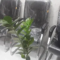 اجاره 110 متر بهداری