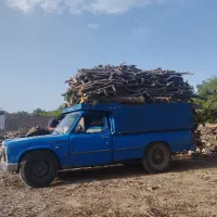 برش چوب و هرس کاری