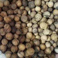 گردو|عمده‌فروشی|مشهد, منزل آباد|دیوار