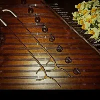 آموزش خصوصی سنتور در بهارستان