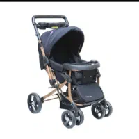 کالسکه دلیجان مدل بنیتا و کریر