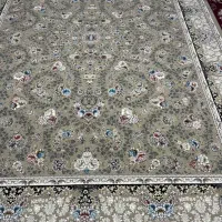 دو عدد فرس ۱۲ متری نو