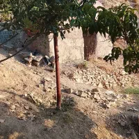 پردیس باغ ۴۰۰ متری فاز ۱ دیوارکشی شده