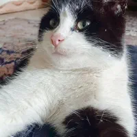 اگربه گمشده گر پیدا کردین مژدگانی خوبی داره