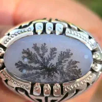 انگشتر شجر خاص