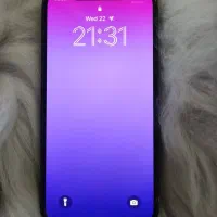 iPhone 12 Pro|موبایل|کیش, |دیوار