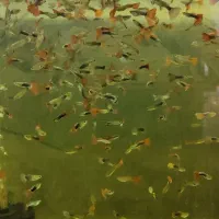 گوپی و دمشمشیری و مولی و لجن خوار پوزه پوته ای