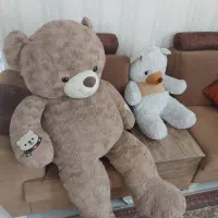 ۲عد خرس سلام تمیز درحد نو