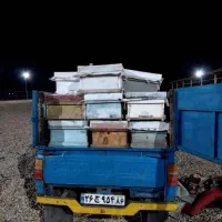 وانت نیسان کرایه ای حمل بار به تمام نقاط کشور|خدمات حمل و نقل|شاهرود, |دیوار