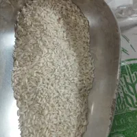 برنج ایرانی