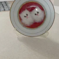 فروش تعدادی وسایل قدیمی و عتیقه /دیس /بشقاب|کلکسیون اشیاء عتیقه|مشهد, کوثر|دیوار