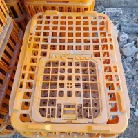 سبد حمل مرغ زنده|لوازم جانبی حیوانات|بجنورد, |دیوار