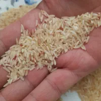 برنج محلی قهوهای عطری|خوردنی و آشامیدنی|تهران, خاوران|دیوار