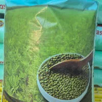 عدس اعلاء زیر قیمت