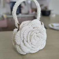کیف مجلسی و عروس