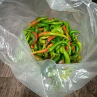 فلفل شمشیری