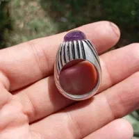 آماتیس برزیلی خوش رنگ|بدلیجات|سبزوار, امیر کبیر|دیوار