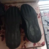 کعش مردانه