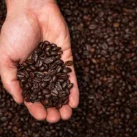 فروش قهوه