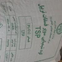 کود ریشه دی آمونیوم فسفات شرکت رازی اصلی و تریپل|خدمات باغبانی و درختکاری|بروجرد, |دیوار