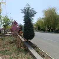1080-متر-زمین-دماوند-هشت-بهشت