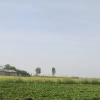 فروش زمین کشاورزی