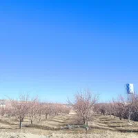 فروش-باغ-شهری-کودیان