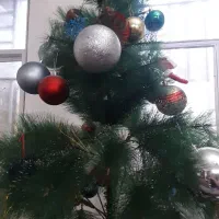 درخت کریسمس نو برفی