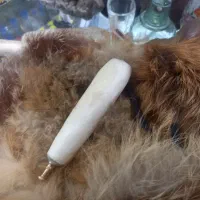 چوب سیگار لب گیر قلیان چپق باف استخوانی