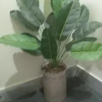 گلدان تزیینی به همراه گل
