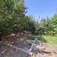 فروش-زمین-428-متری-در-تهراندشت-زیبا