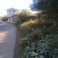 کلنگی ۲۴۸ متری با کنتور آب و برق اطراف کوچصفهان|فروش خانه و ویلا|رشت, بلوار گیلان|دیوار