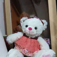 عروسک خرسی