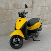 پاکشتی هوندا تودی در حد نو