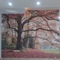 نصاب ونصب پوستر و کاغذدیواری