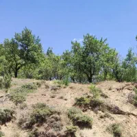 باغ بادم دیم روستای هیراب|فروش دفتر صنعتی، کشاورزی، تجاری|بروجرد, |دیوار