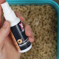 ماگوت زنده و عصاره ماگوت