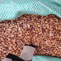 حبوبات درجه یک عمده(تخفیف ویژه نذری)
