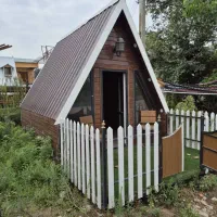 کانکس چوبی تیپ سنگین|مصالح و تجهیزات ساختمان|زیباکنار, |دیوار