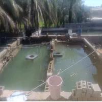 استخر پرورش ماهی جهت اجاره