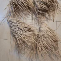 لوستر حصیری