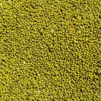 ماش دون ریز ارتشی