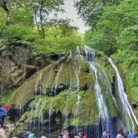 طبیعت گردی