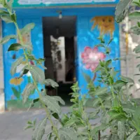 پیش دبستانی یاسمین